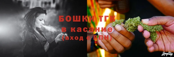 стаф Абинск