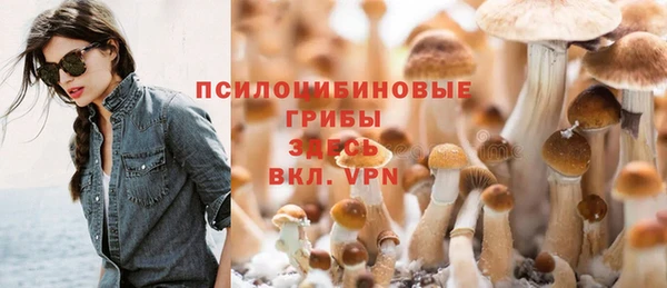 стаф Абинск